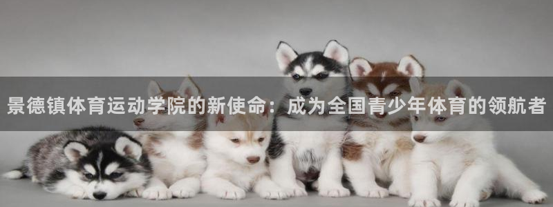 景德镇体育运动学院的新使命：成为全国青少年体育的领航者
