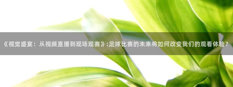 《视觉盛宴：从视频直播到现场观赛》:足球比赛的未来将如何改变我们的观看体验？